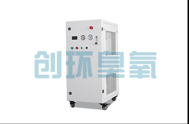 双桥工厂化养鲈必看:2026年臭氧发生器替代传统消毒的最新方案