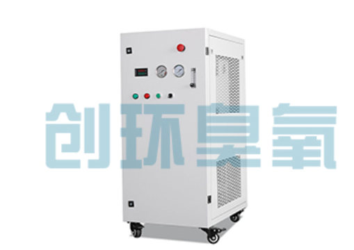 双桥石斑鱼养殖水质调控完整指南：臭氧发生器配置与操作步骤