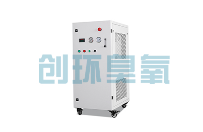 双桥比传统换水更高效？臭氧发生器在石斑鱼养殖中的水质净化原理解析
